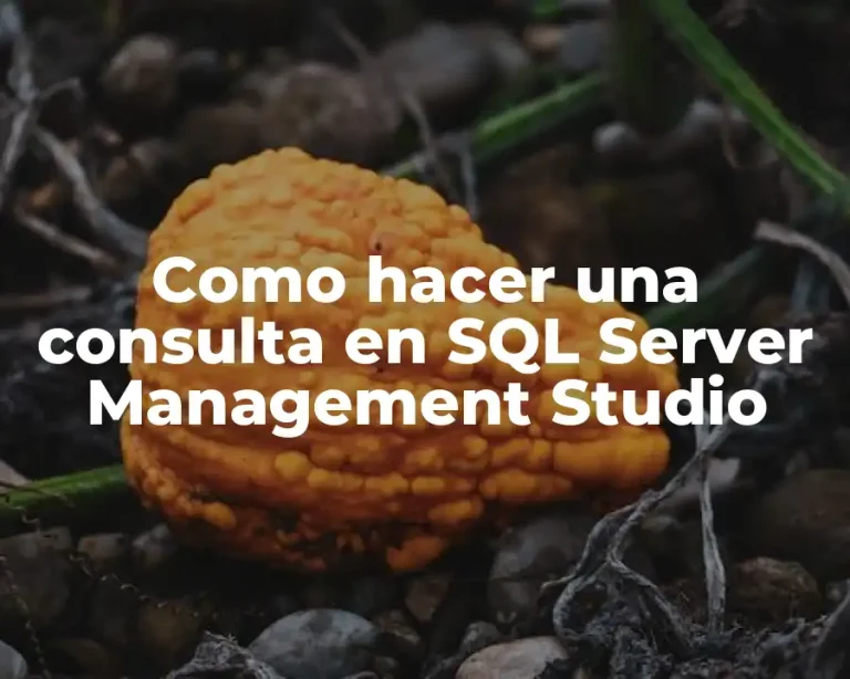 Como hacer una consulta en SQL Server Management Studio