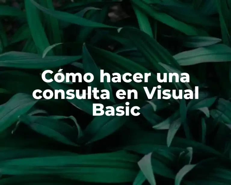 Cómo hacer una consulta en Visual Basic