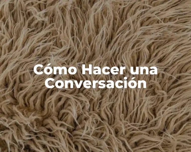 Cómo Hacer una Conversación