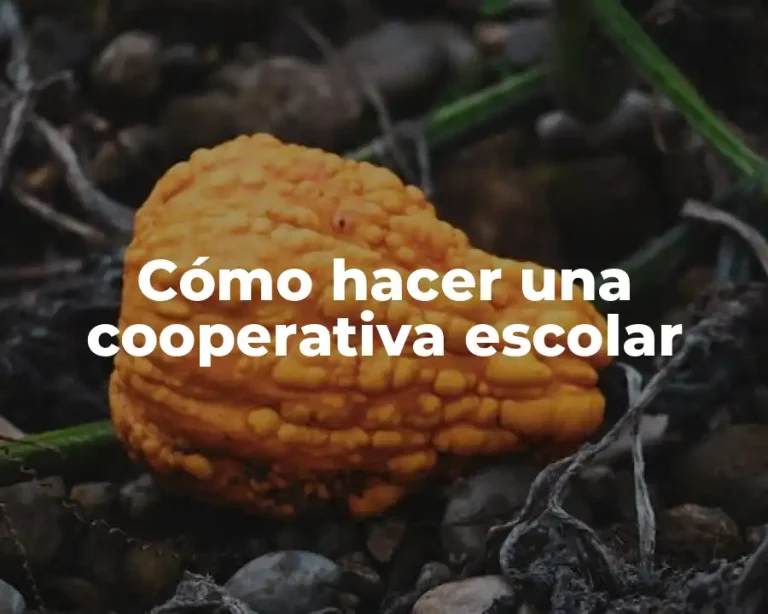 Cómo hacer una cooperativa escolar
