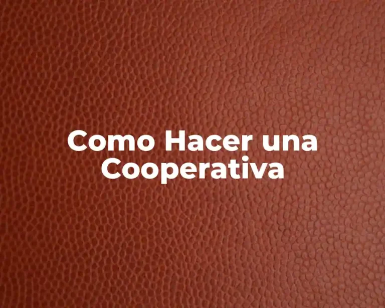 Como Hacer una Cooperativa