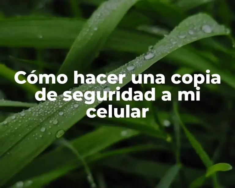 Cómo hacer una copia de seguridad a mi celular