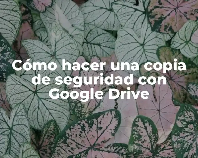 Cómo hacer una copia de seguridad con Google Drive