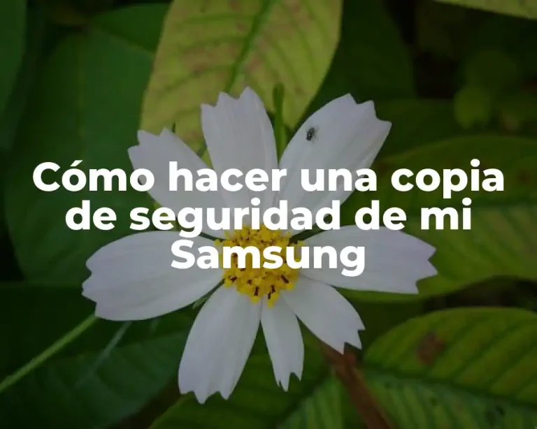 Cómo hacer una copia de seguridad de mi Samsung