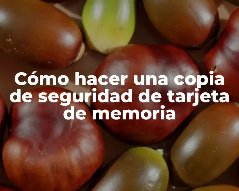 Cómo hacer una copia de seguridad de tarjeta de memoria