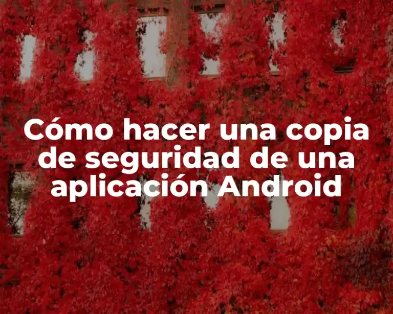 Cómo hacer una copia de seguridad de una aplicación Android