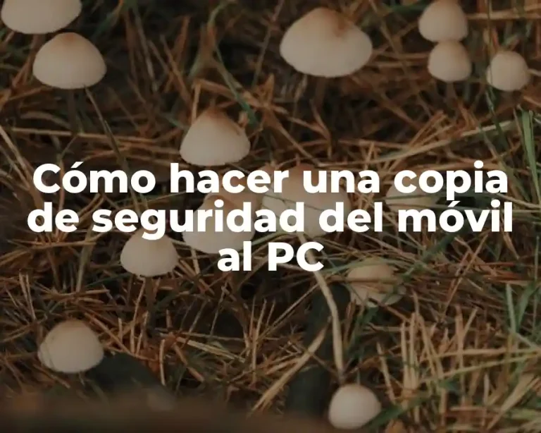Cómo hacer una copia de seguridad del móvil al PC