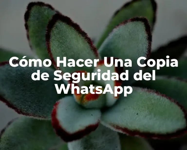 Cómo Hacer Una Copia de Seguridad del WhatsApp