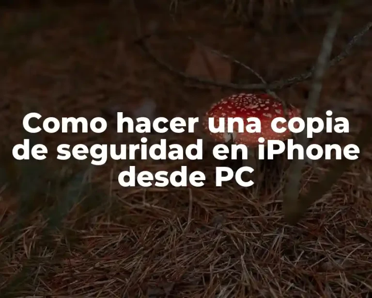 Como hacer una copia de seguridad en iPhone desde PC
