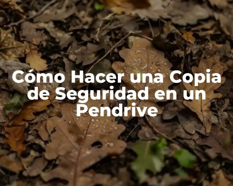 Cómo Hacer una Copia de Seguridad en un Pendrive