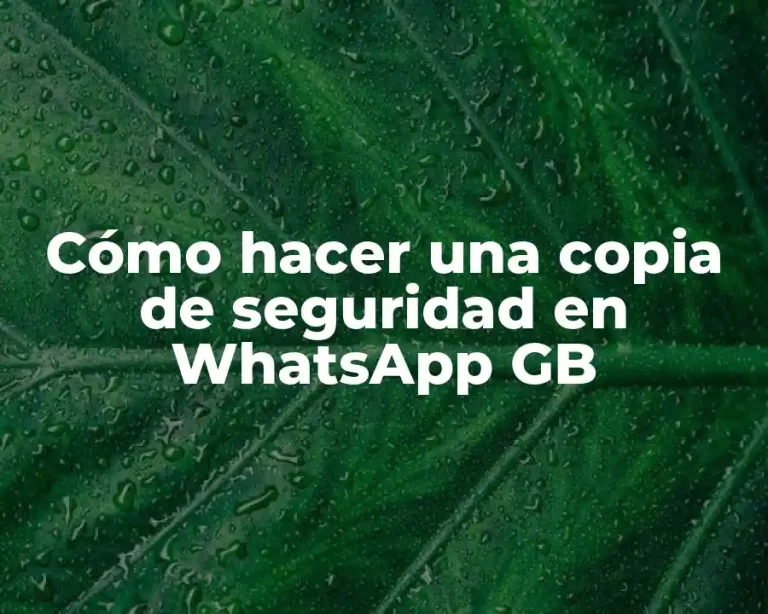 Cómo hacer una copia de seguridad en WhatsApp GB