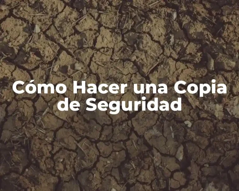 Cómo Hacer una Copia de Seguridad