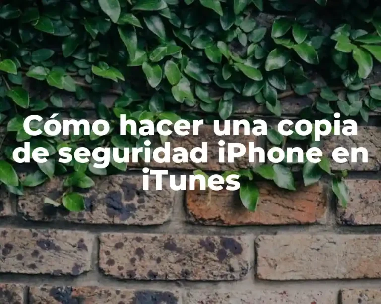 Cómo hacer una copia de seguridad iPhone en iTunes