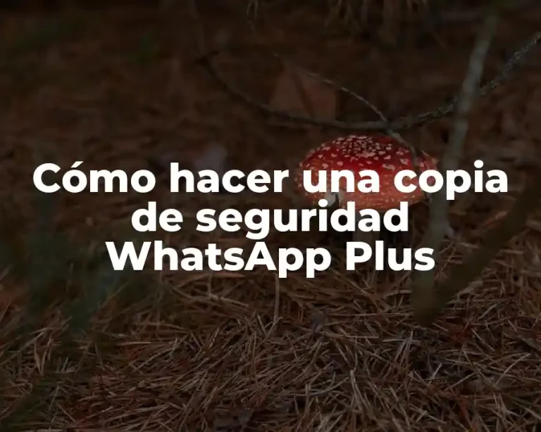 Cómo hacer una copia de seguridad WhatsApp Plus