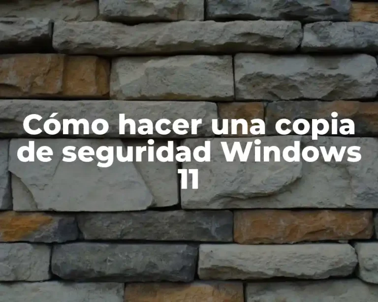 Cómo hacer una copia de seguridad Windows 11