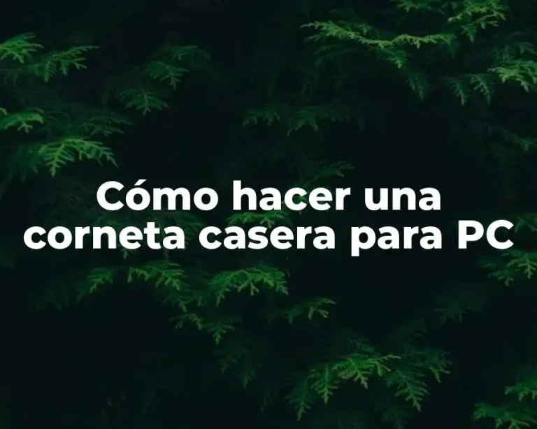 Cómo hacer una corneta casera para PC