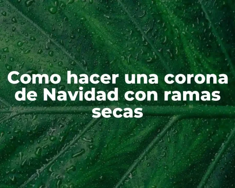 Como hacer una corona de Navidad con ramas secas
