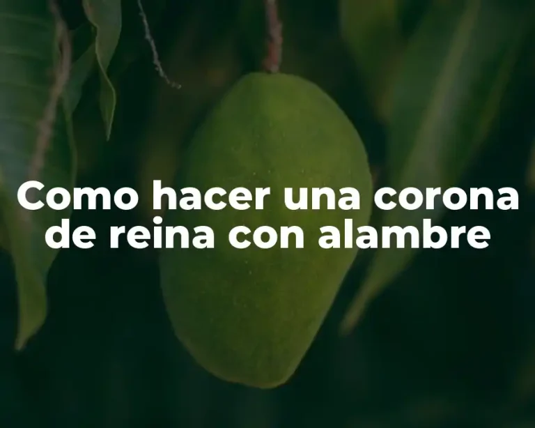 Como hacer una corona de reina con alambre
