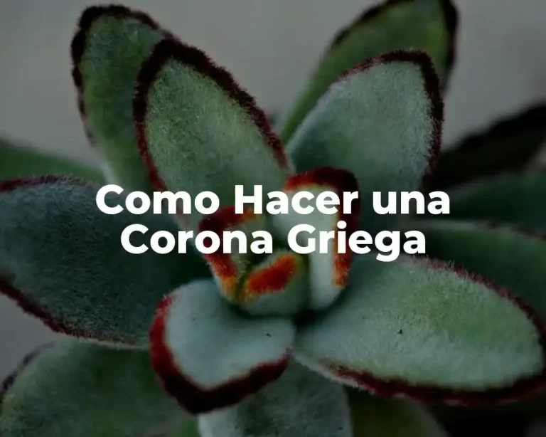 Como Hacer una Corona Griega