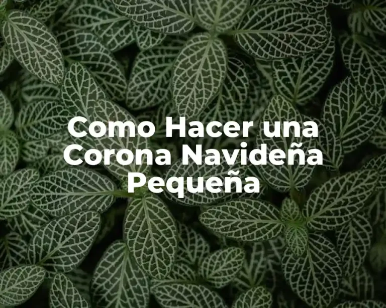 Como Hacer una Corona Navideña Pequeña