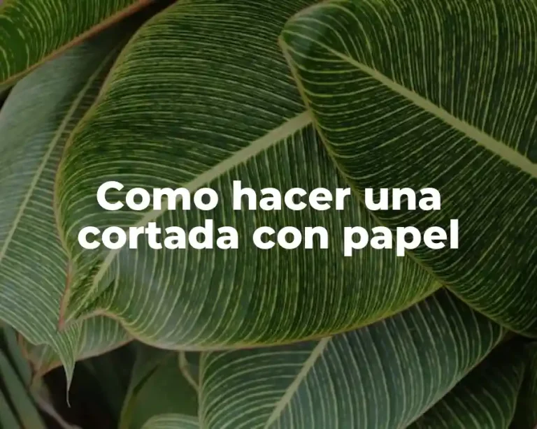 Como hacer una cortada con papel