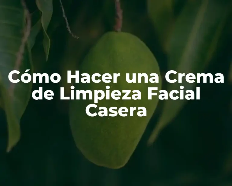 Cómo Hacer una Crema de Limpieza Facial Casera
