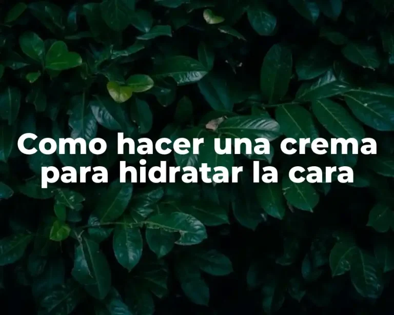 Como hacer una crema para hidratar la cara