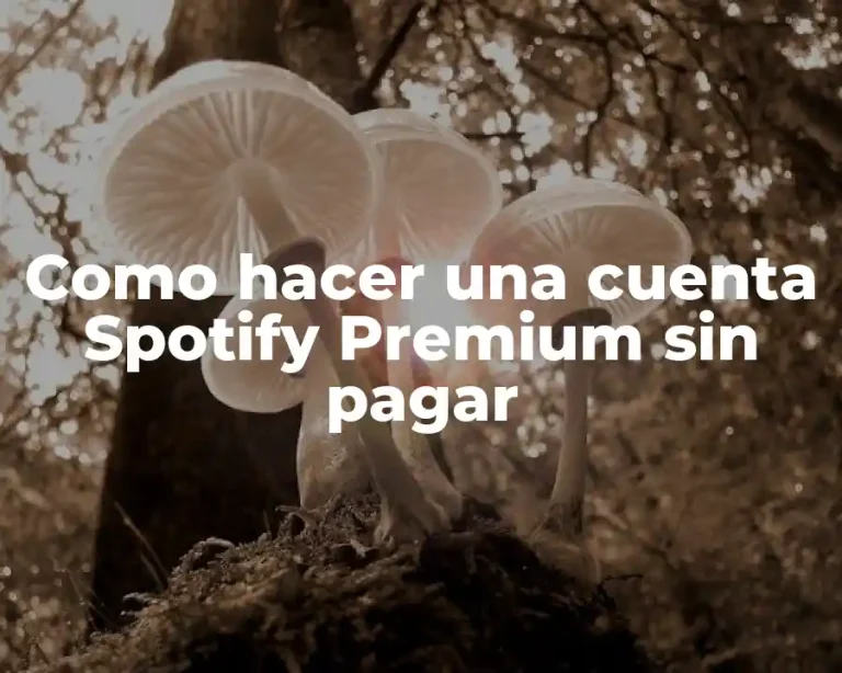 Como hacer una cuenta Spotify Premium sin pagar