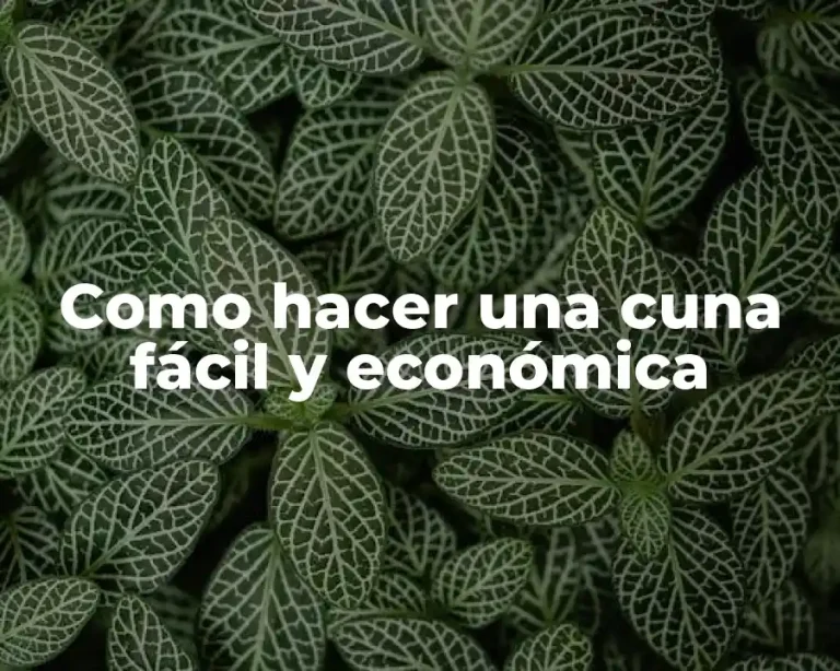 Como hacer una cuna fácil y económica