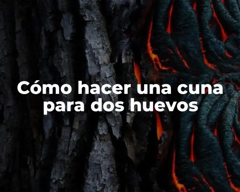 Cómo hacer una cuna para dos huevos