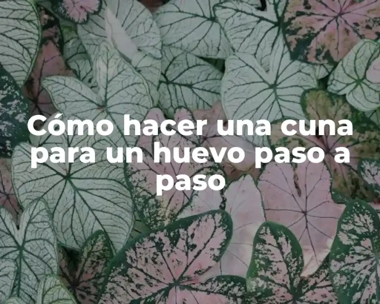 Cómo hacer una cuna para un huevo paso a paso