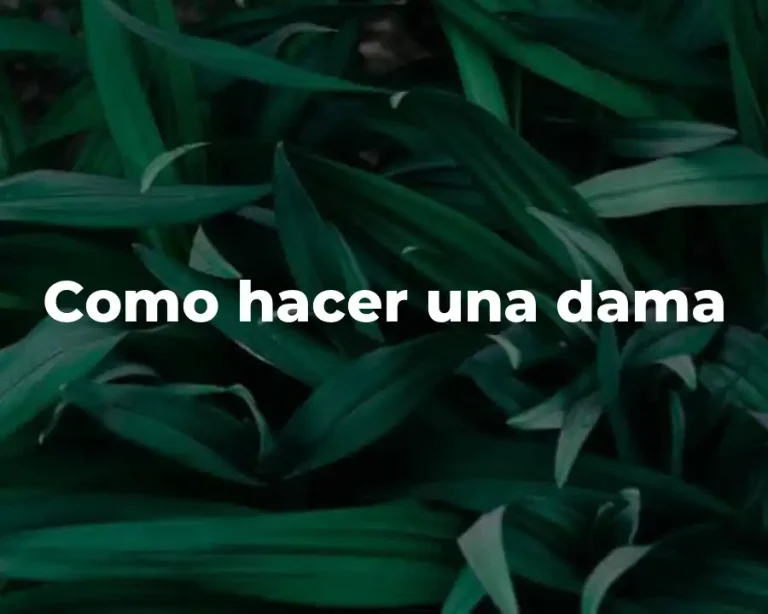 Como hacer una dama