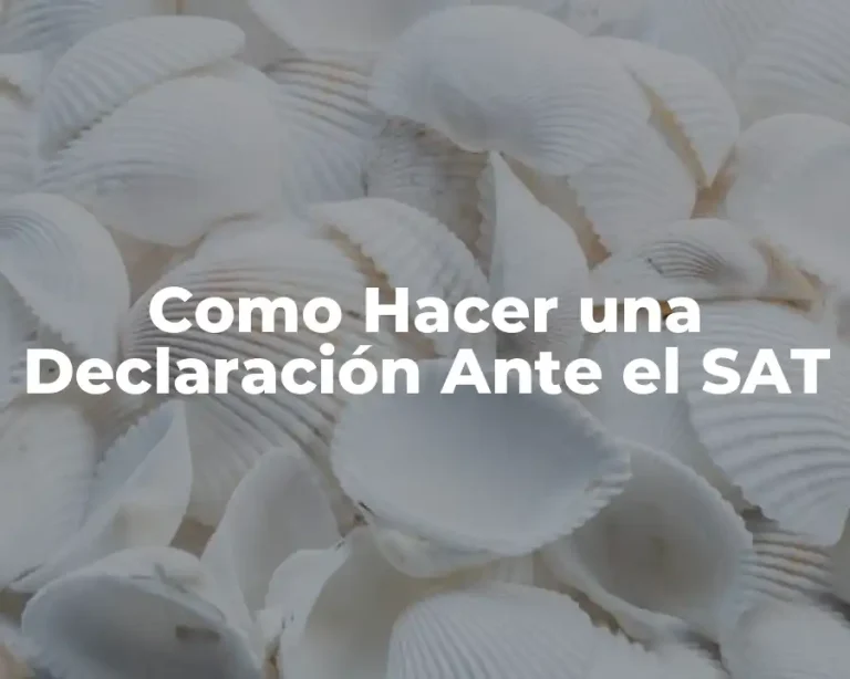 Como Hacer una Declaración Ante el SAT