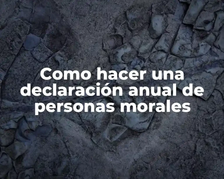 Como hacer una declaración anual de personas morales