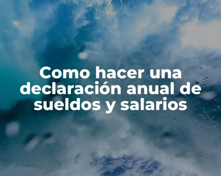 Como hacer una declaración anual de sueldos y salarios