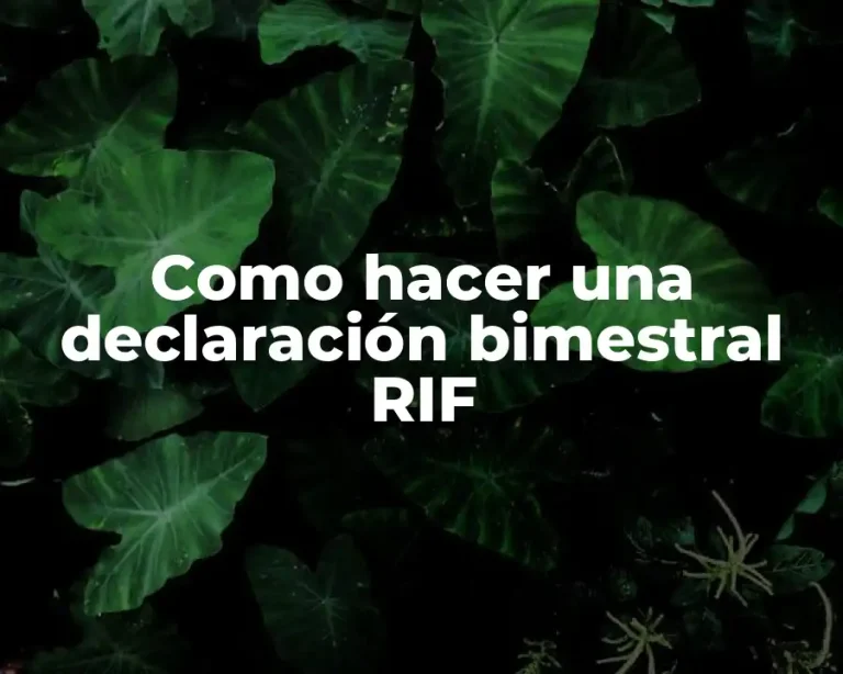Como hacer una declaración bimestral RIF
