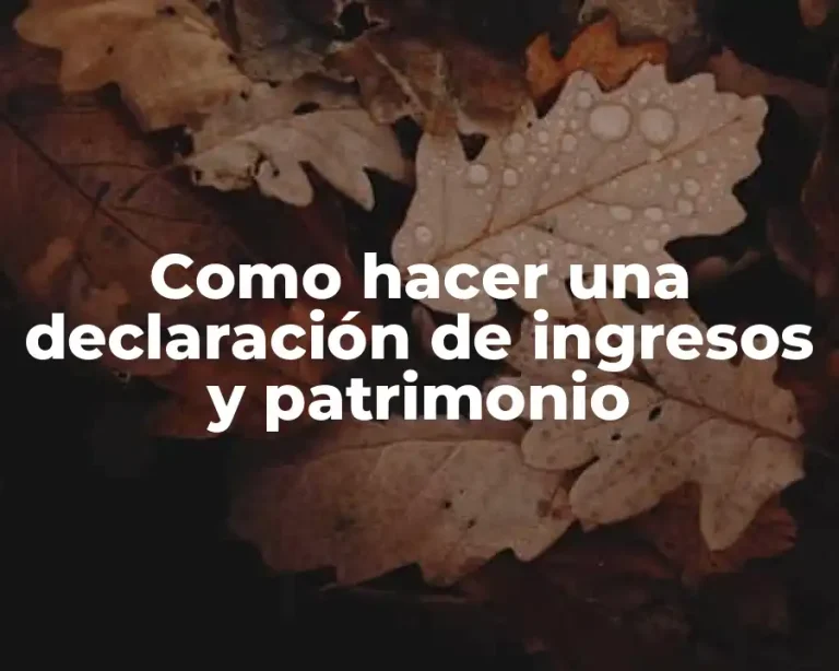Como hacer una declaración de ingresos y patrimonio