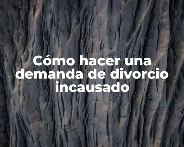 Cómo hacer una demanda de divorcio incausado
