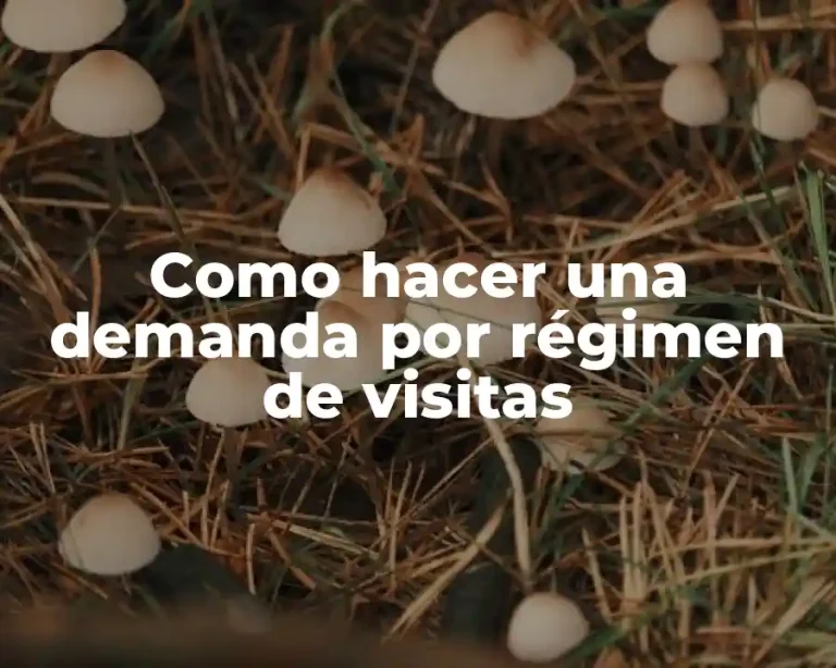 Como hacer una demanda por régimen de visitas