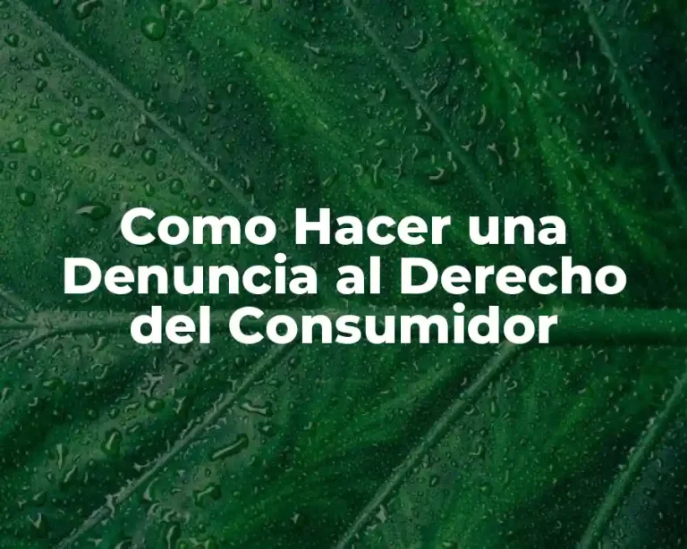 Como Hacer una Denuncia al Derecho del Consumidor