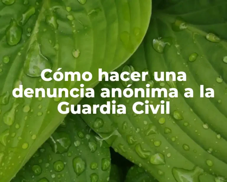Cómo hacer una denuncia anónima a la Guardia Civil