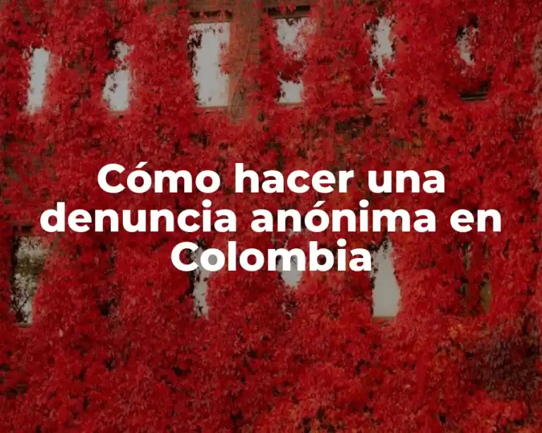 Cómo hacer una denuncia anónima en Colombia