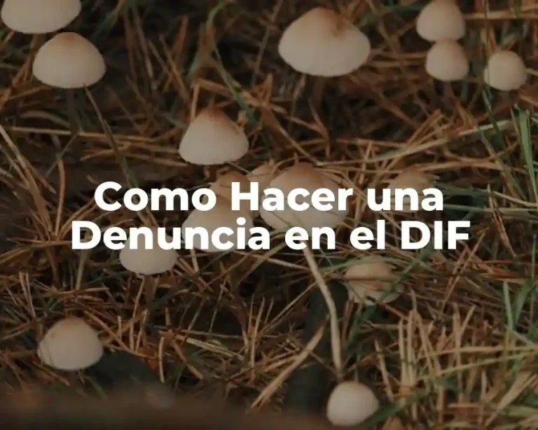 Como Hacer una Denuncia en el DIF