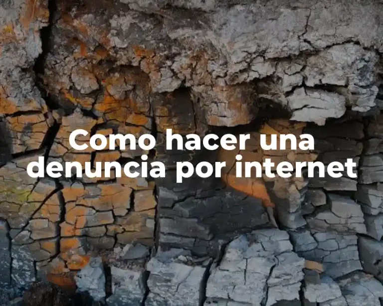 Como hacer una denuncia por internet