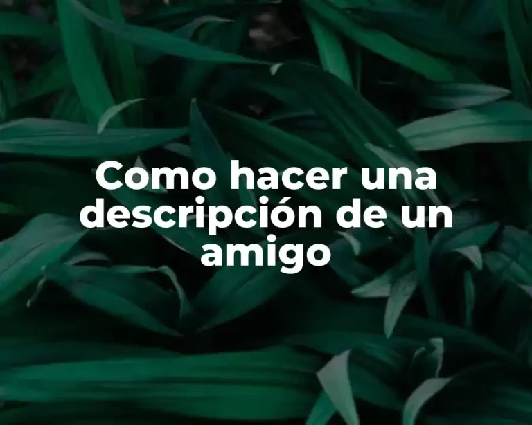 Como hacer una descripción de un amigo