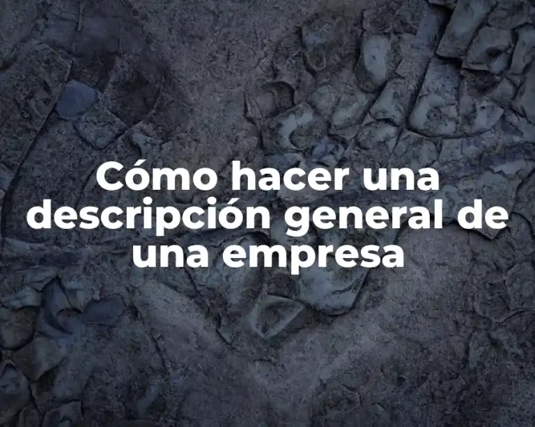 Cómo hacer una descripción general de una empresa