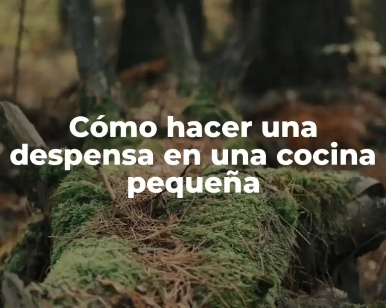 Cómo hacer una despensa en una cocina pequeña