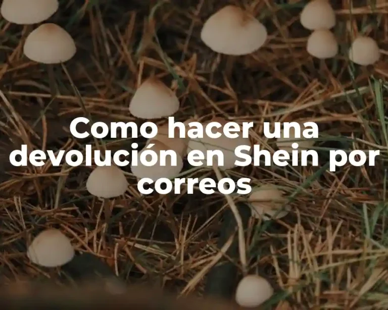 Como hacer una devolución en Shein por correos