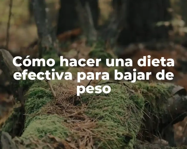 Cómo hacer una dieta efectiva para bajar de peso
