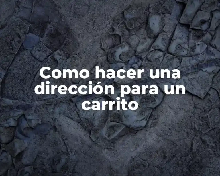 Como hacer una dirección para un carrito